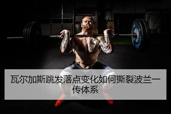 瓦尔加斯跳发落点变化如何撕裂波兰一传体系